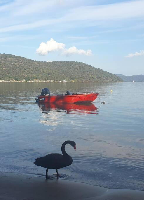 فيلا Dangar Beach Studio - Absolute Beach Front Dangar Island المظهر الخارجي الصورة