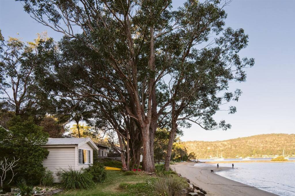 فيلا Dangar Beach Studio - Absolute Beach Front Dangar Island المظهر الخارجي الصورة